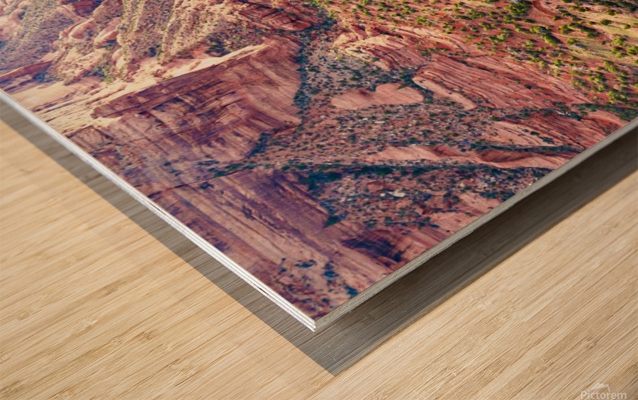Spider Rock Wood print