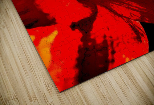 Red amaryllis  A R G puzzle