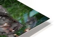 Combimals 3 HD Metal print