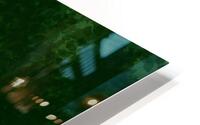 Combimals 6 HD Metal print