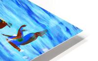 Gliding Pelicans HD Metal print