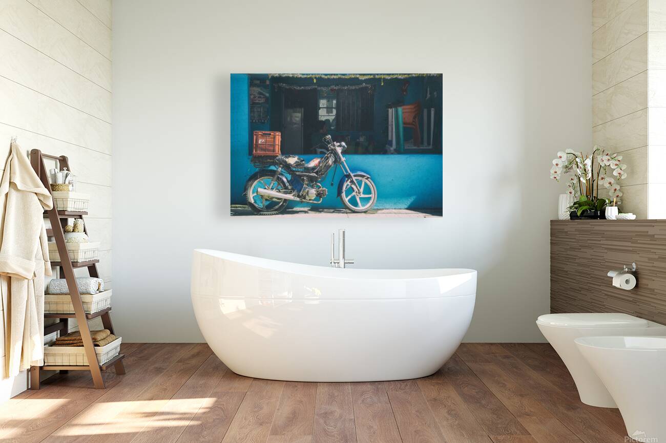 Basic transportation Reproduction