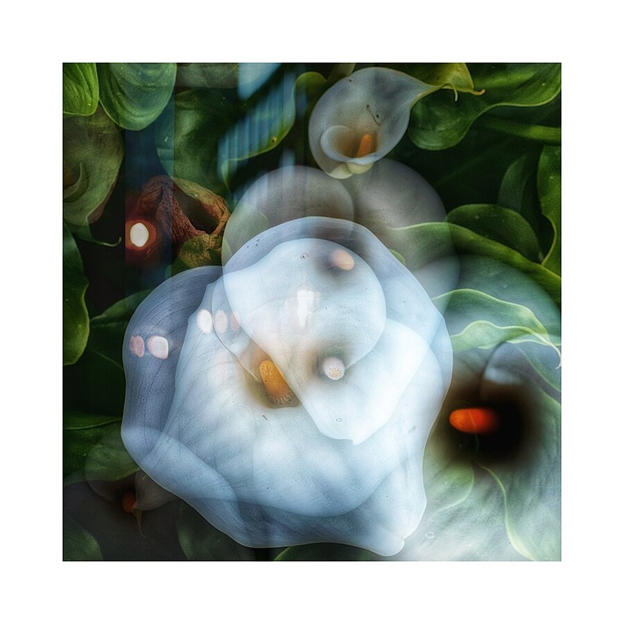 Unity Picture Frame print