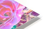 LA Roses HD Metal print