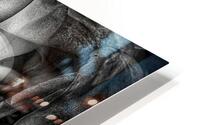 True Colors HD Metal print