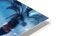 Palms 1 HD Metal print
