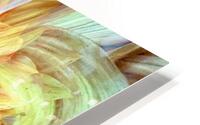 Gorgeous  HD Metal print