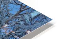 Winter in Aspen HD Metal print