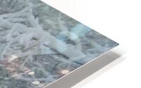 Aspen 2 HD Metal print