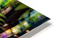 IMG 1645 HD Metal print