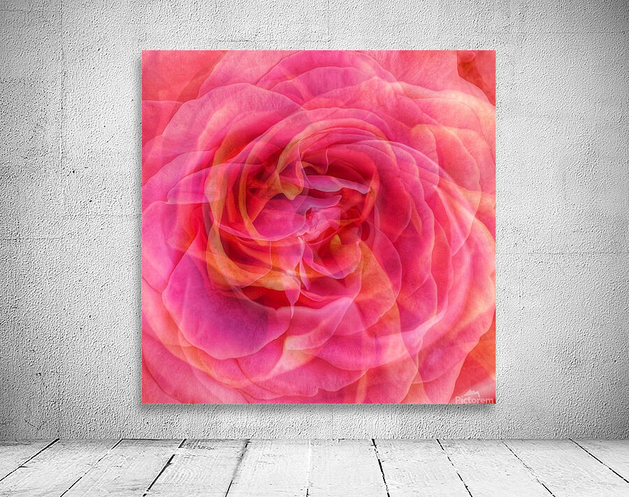 So Many Soft Petals Wall Preview