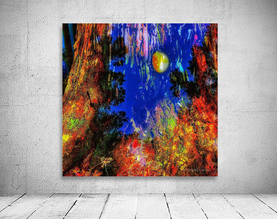 Capricorn Moon Wall Preview