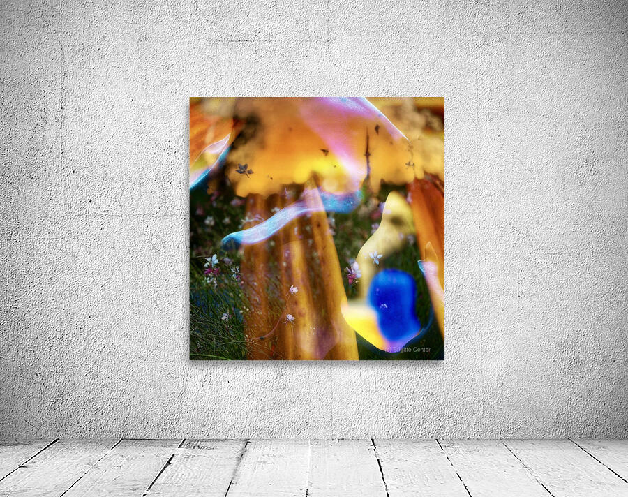 She Brought the Light Wall Preview