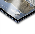 BILATERAL HERDING Acrylic print