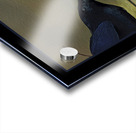 EDGAR ALLAN CROW Acrylic print