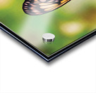 BUTTERFLY TIPTOE Acrylic print