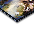 SEQUOIA TREE VICTORIA B.C Acrylic print