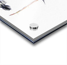 MAGPIE CONVENTION 3 CONCLUDED Acrylic print