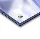 JONATHAN LIVINGSTON SEAGULL Acrylic print