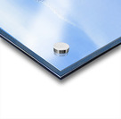 BIRTH OF A FOREST Acrylic print