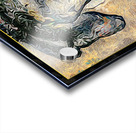 CHAUVET CAVE HORSES stylized Acrylic print