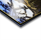 YAMNUSKA MOUNTAIN NEAR BANFF DRIVE BY Acrylic print