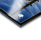 BALD EAGLE ON COPPER ISLAND Acrylic print