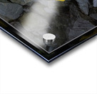 SOFT STRONG POPS UP TOO Acrylic print