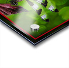 BLACK WHITE DRAGONFLY Acrylic print