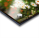 Daisy Sun Catchers Acrylic print