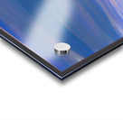 UP UP AND AWAY Acrylic print