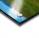 WHITE HOURSE ALONG THE SHUSWAP RIVER Acrylic print