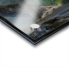 FAWN WHERE S MOM Acrylic print