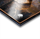 ELK WARY Acrylic print