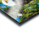 BALD EAGLE EYEING THE KAYAK Acrylic print