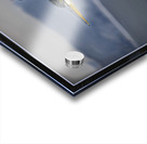 BLUE HERON LIFTOFF Acrylic print