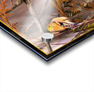 GOLD FINCH CONTEMPLATION Acrylic print