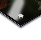 HUMMINGBIRD FLYING TO FEEDER Acrylic print