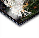 DAISIES DANCING YEAR S END RITUAL Acrylic print