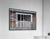 CAN I COME TOO PLEASE Acrylic Print