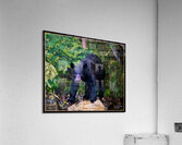 WINTER SLEEP ALL OVER Acrylic Print