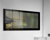 EDGAR ALLAN CROW Acrylic Print