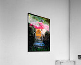 GARDEN HOUSE Acrylic Print