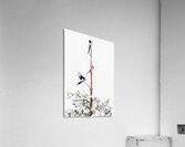 MAGPIE CONVENTION 1 ARRIVING Acrylic Print