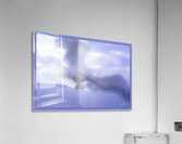 JONATHAN LIVINGSTON SEAGULL Acrylic Print