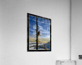 BALD EAGLE ON COPPER ISLAND Acrylic Print