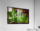 BLACK WHITE DRAGONFLY Acrylic Print