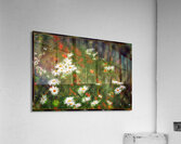 Daisy Sun Catchers Acrylic Print