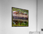 PAINTED TURTLES SUNNING Acrylic Print