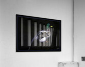 DRAKE MY FRIEND Acrylic Print